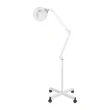 Alida magnifying lamp Lamps and Magnifiers