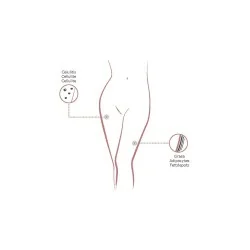 Impacco anticellulite - Principi attivi di mesoterapia - Mesoterapia - Institute BCN Packs